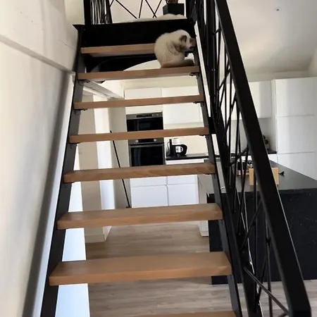 Loft Luxueux